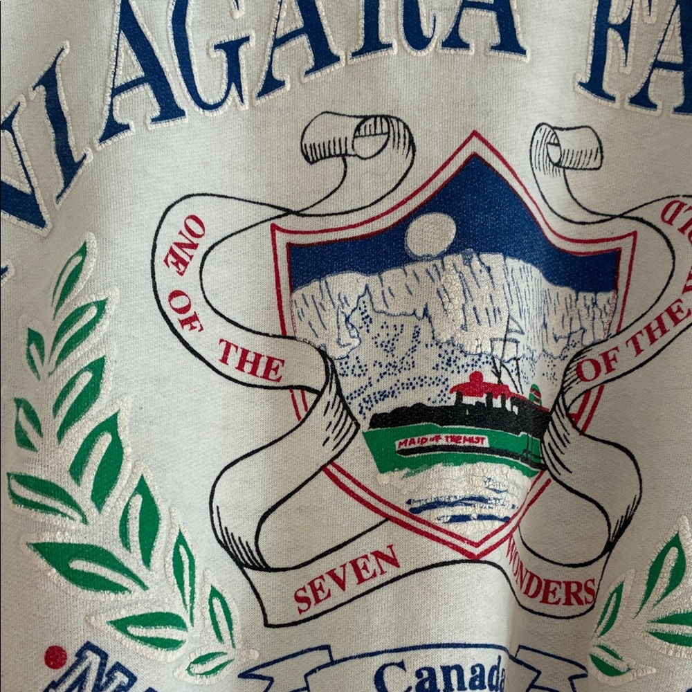Niagara Falls Graphic Sweatshirt - Picture 2 of 5